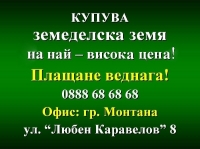 Нива, Използваема нива, Полска култура, Посевна площ,  (купува) в Враца, Борован