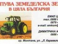 Нива, Използваема нива, Полска култура, Посевна площ,  (купить) 