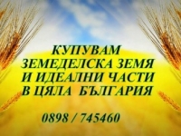 Нива, Използваема нива, Полска култура, Посевна площ,  (купува) в Монтана, Лом