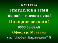 Нива, Използваема нива, Полска култура, Посевна площ,  (купить) в Монтана, Монтана